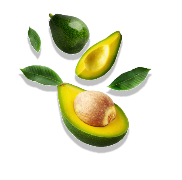 avocado 1